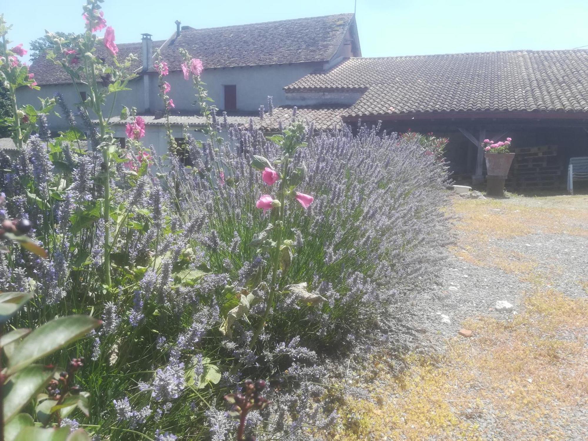 Les Vignes Villa Pomport Eksteriør bilde