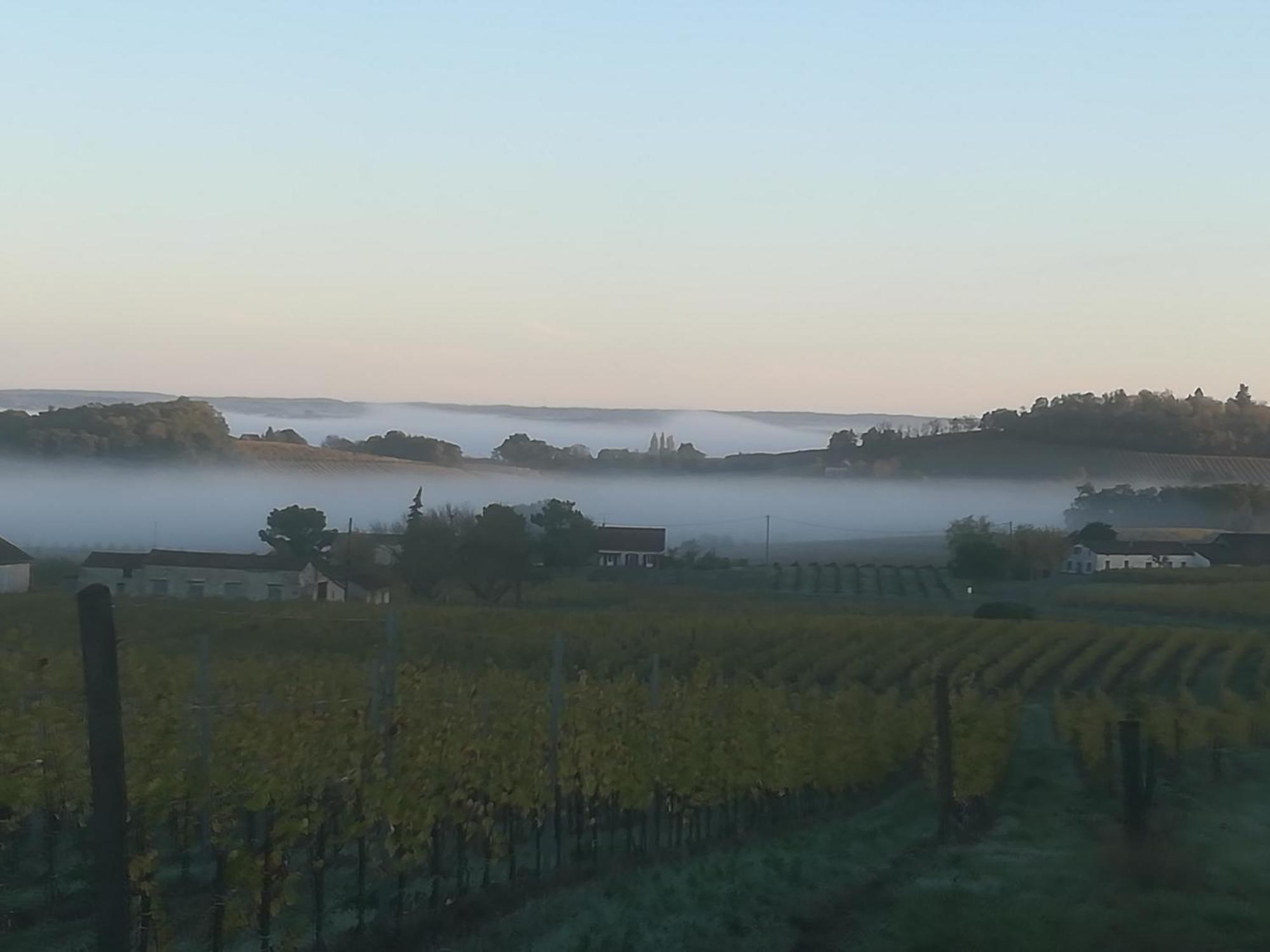 Les Vignes Villa Pomport Eksteriør bilde