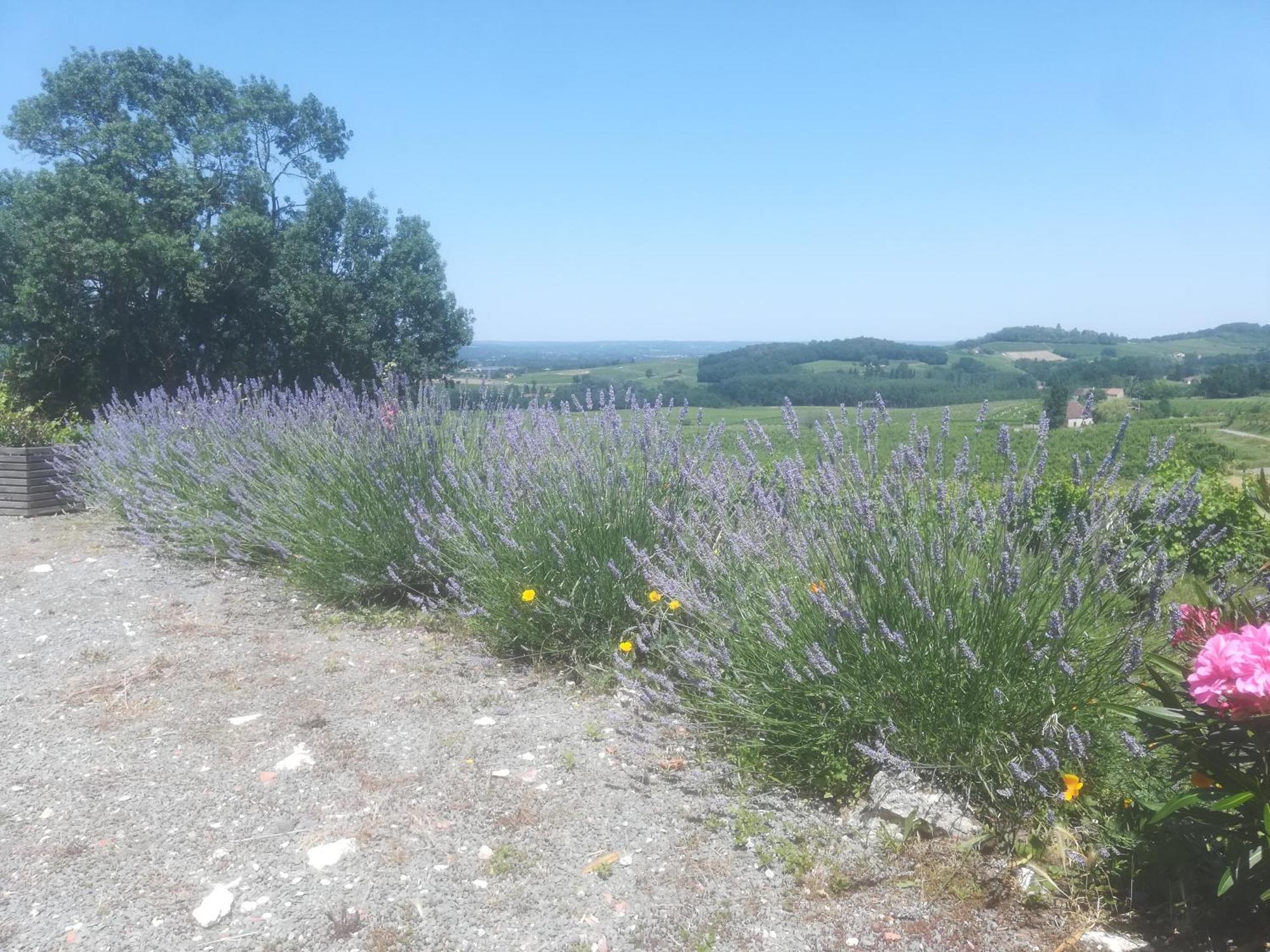 Les Vignes Villa Pomport Eksteriør bilde
